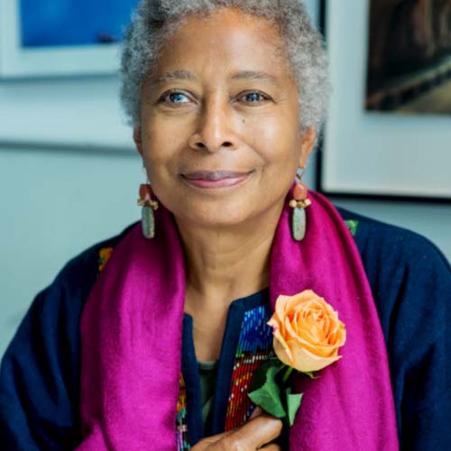 Alice Walker, Writer